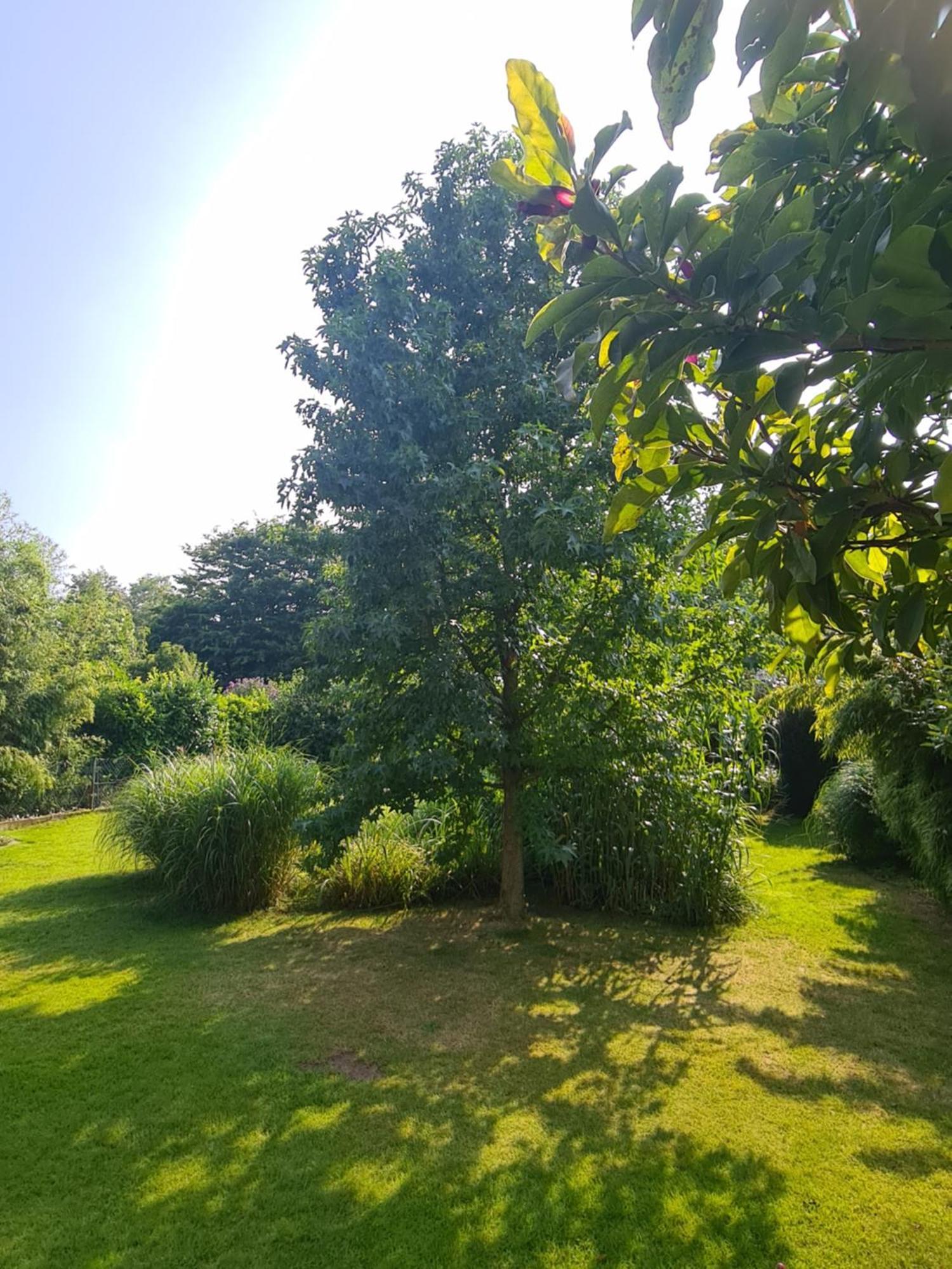 Gemuetliche Wohnung Koelner Norden Bagian luar foto